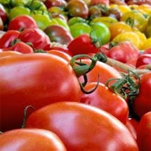 História do Tomate: Do Veneno à Obsessão