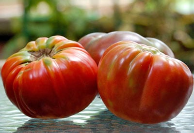 As Melhores Variedades de Tomate para Crescer em Casa
