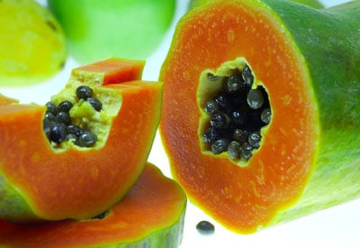 Papaias GMO Ameaçam Cultura Orgânica