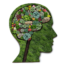7 Razões Porque a Jardinagem é Óptima para a sua Saúde Mental