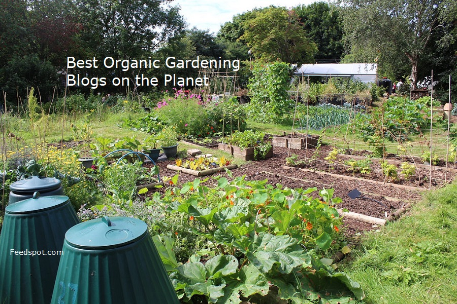 Blog de Jardinagem Orgânica