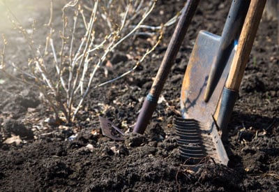 5 Ferramentas de jardinagem obrigatórias